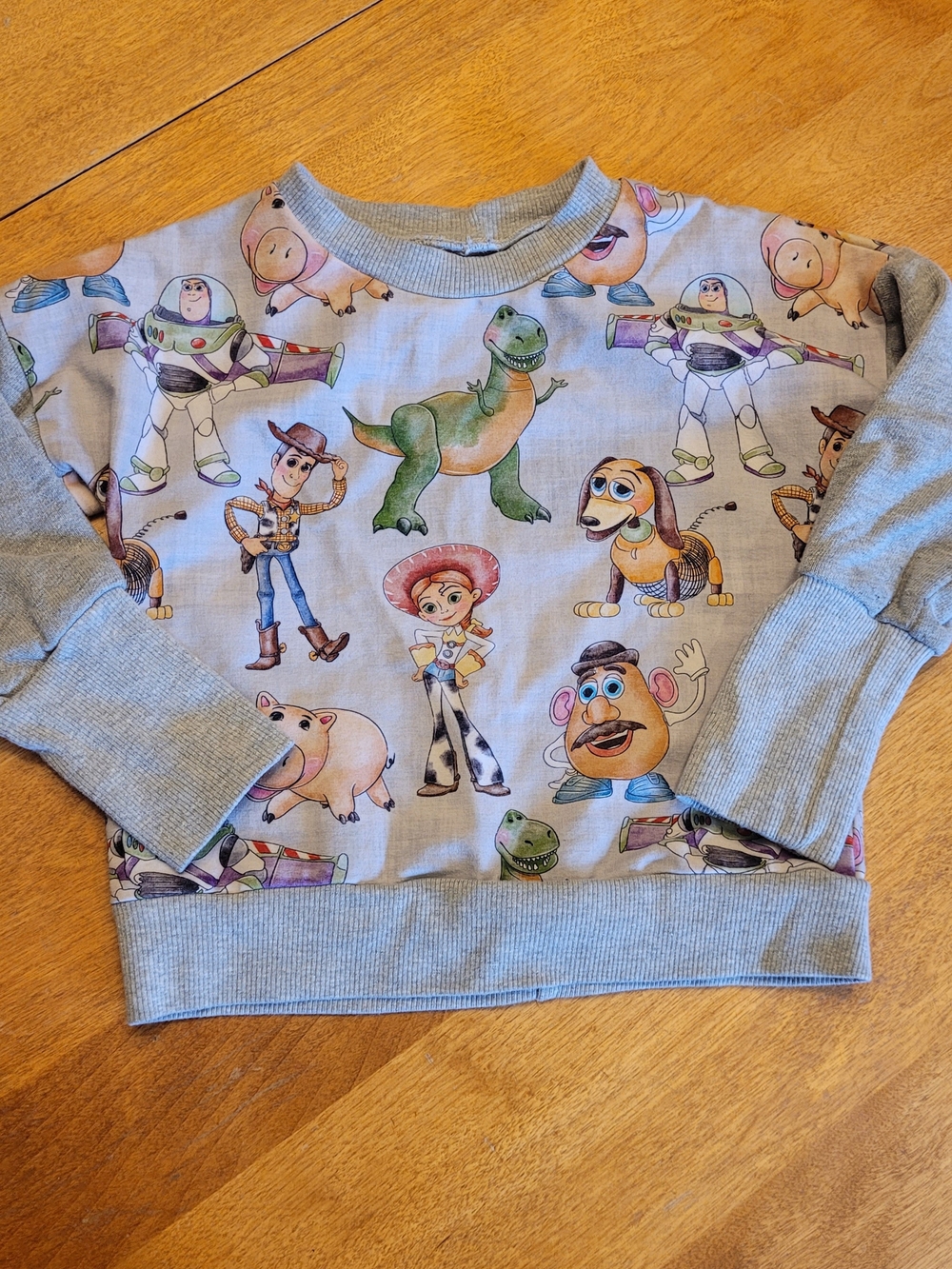 Audrey & Biscotti Toy Story Character Print Kids Sweatshirt